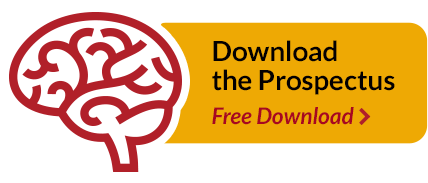 Download the Neurodevelopmental Drawing Series Prospectus